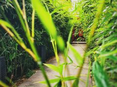 -吃货私房菜(丽江束河古镇店)