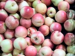 -大连果菜批发市场