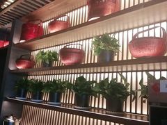 -盡膳口福跷脚牛肉火锅(北美新天地店)