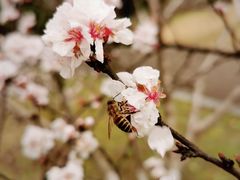 -白塘生态植物园