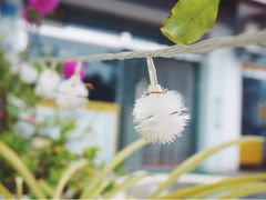 iphone_upload_pic-一杯海(国际海水浴场店)