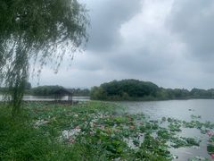 -上海市保健医疗中心