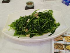 芥兰苗-竹溪百福酒家(同和店)