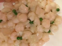 清炒QQ河虾仁-小厨娘淮扬菜(六合欢乐港店)