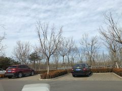 -东郊湿地公园