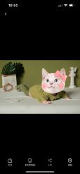 -Angel Fish photography 儿童摄影工作室(亚运村店)