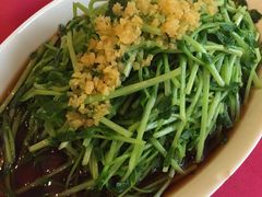 泉水豌豆苗-田园小观园(武大店)