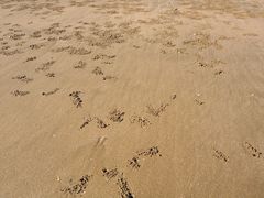 -小皓村