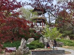 -莲花池公园
