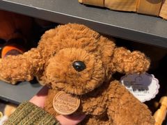 -酷乐潮玩(五道口购物中心店)