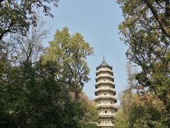 -灵谷景区