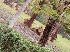 -秦皇岛野生动物园