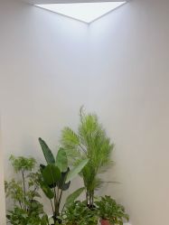 -VE专注问题肌·赛诺龙&科学美肤中心