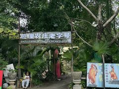 -芭厘农庄老字号·清远鸡