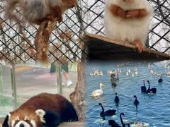 -水上乐园·欢乐世界