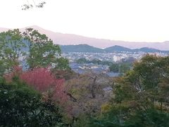 -常寂光寺