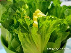 -墨脱石锅椰子鸡•海鲜糟粕醋(榆亚路店)