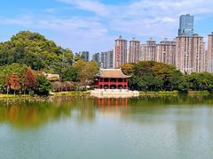 -顺峰山公园