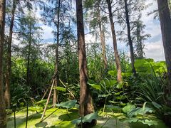 -云龙湖旅游景区