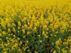 -中国天府农业博览园