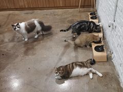 -咖法森林·咖啡  酒吧(天河店)