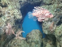 -福州罗源湾海洋世界旅游区
