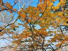 -白草畔自然风景区