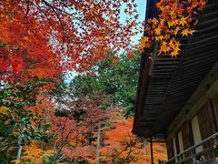-三千院