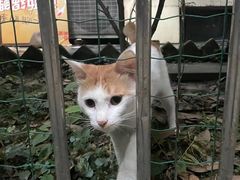 -庆蓉云·庆云面(双林店)