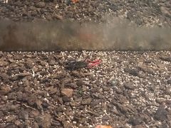 -上海昆虫博物馆