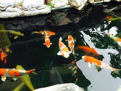 -天竺岩寺