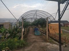 -美家乐农庄·露营·团建(大治路店)