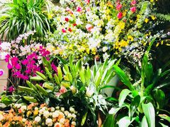 -春暖花开(西溪店)