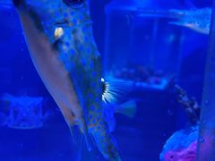 -太平洋海底世界