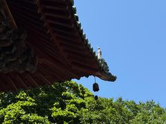 -报恩寺(平武县)