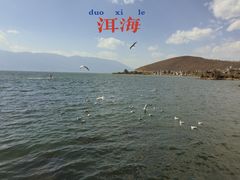-大理洱海