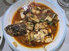 -煲来饱去冷水鱼