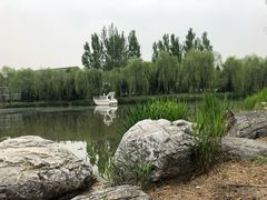 披萨-东方苑自助餐厅(稻香湖景酒店)