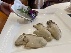 堂灼粥水生蚝-利苑酒家(合景国际金融广场店)