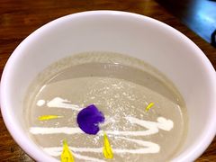 -百好乐宠物友好餐厅(朝外大街店)