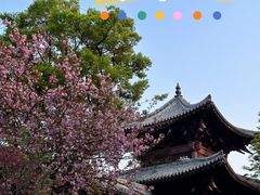 -祥源·阜阳生态乐园