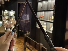 -雪灵魔法世界SHELLY’S TAROT(大良桂畔里店)
