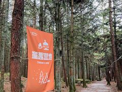 -重庆睡佛山森林公园