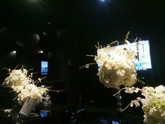 -黑桃K生日订制KTV