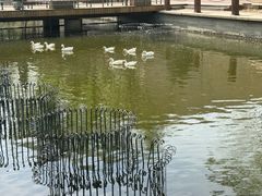 -中央戏剧学院(昌平校区)