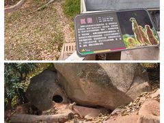 -广州动物园