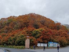 -天女山森林公园