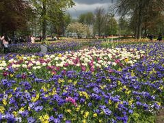 -库肯霍夫公园