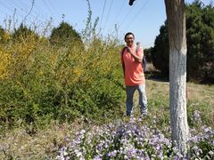 -苏家坨柳林村二月兰花海