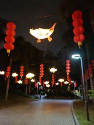-深圳市儿童乐园